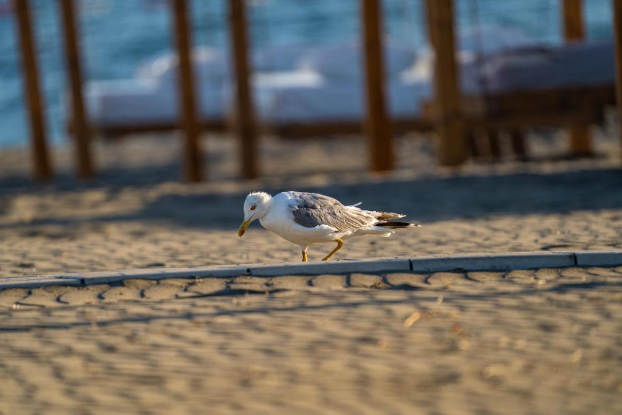 Hills Beach, And Bar - Velika Plaza Dağ evi Ülgün